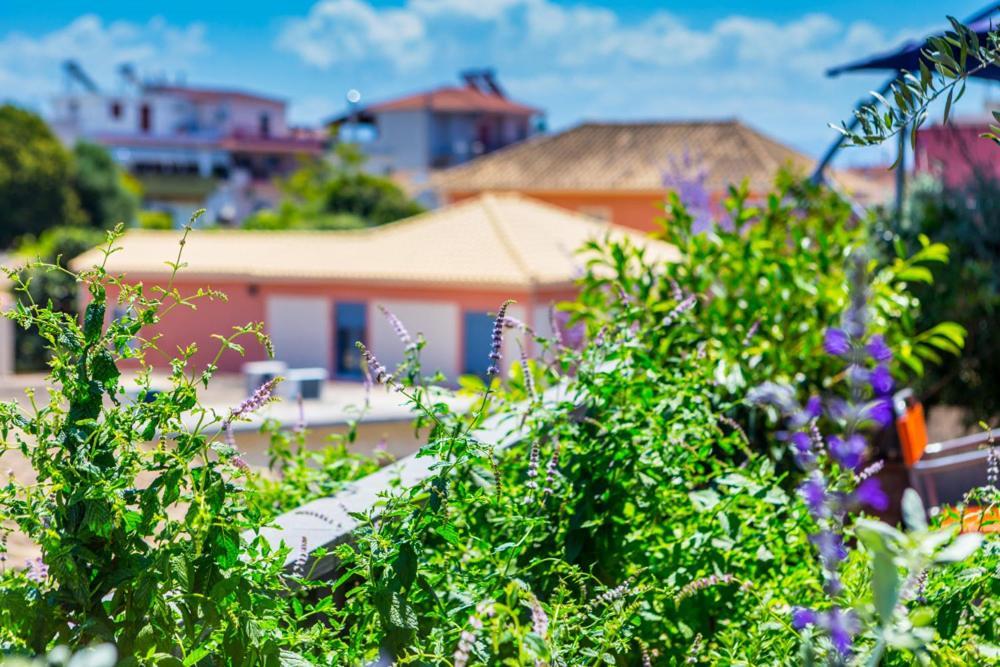 Koukounari Living Spaces Preveza Eksteriør billede